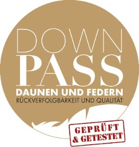 downpass-2017_logo