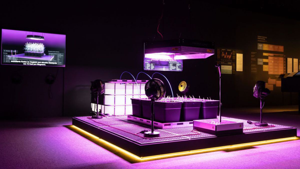 Eine Installation bei der ARS ELECTRONICA, violett beleuchtet in einem dunklen Raum.