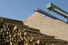 Foto: Smurfit Nettingsdorfer Foto: Smurfit Nettingsdorfer