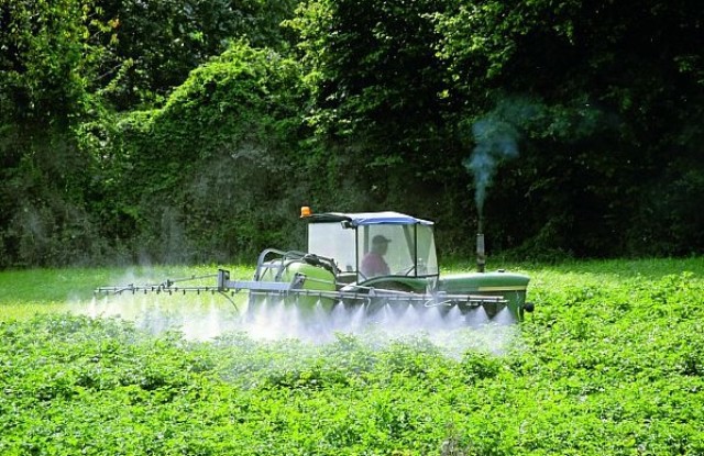 Foto: Istockphoto Foto: Istockphoto
