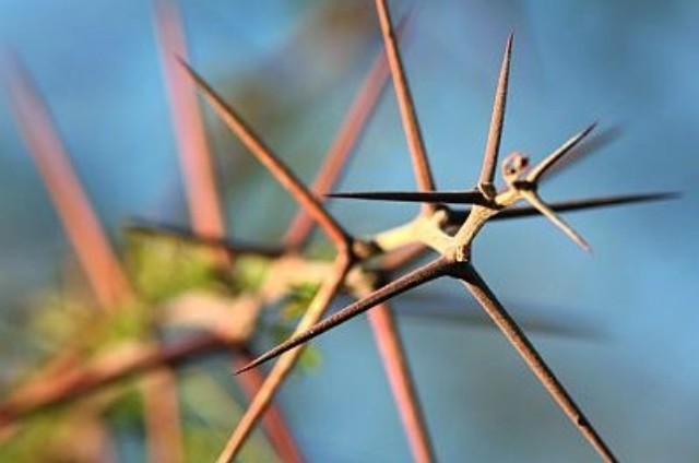 Foto: Istockphoto Foto: Istockphoto