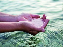Foto: Istock Foto: Istock