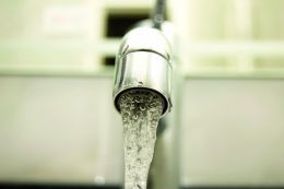 Foto: Istock Foto: Istock