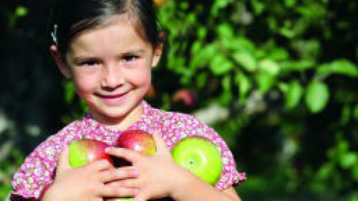 Foto: Istockphoto