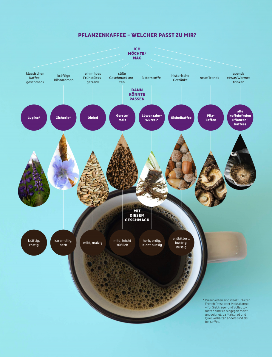 Wenn ich ...
...den klassischen Kaffeegeschmack suche: Lupine - kräftig, röstig
...kräftige Röstaromen liebe: Zichorie - karamellig, herb
...ein mildes Frühstücksgetränk mag: Dinkel- mild, malzig
...süße Geschmacksnoten bevorzuge: Gerste/Malz - mild, 