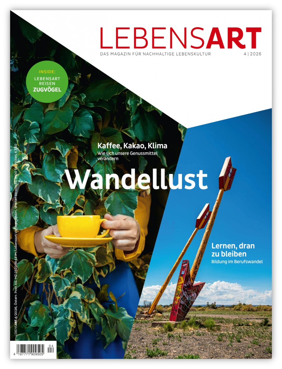 Das Cover der LEBENSART zeigt links eine Person, die aus einem Gebüsch heraus eine Tasse reicht und links zwei riesige Metallpfeile, die vor blauem Himmel im Boden stecken. Der Titel ist 