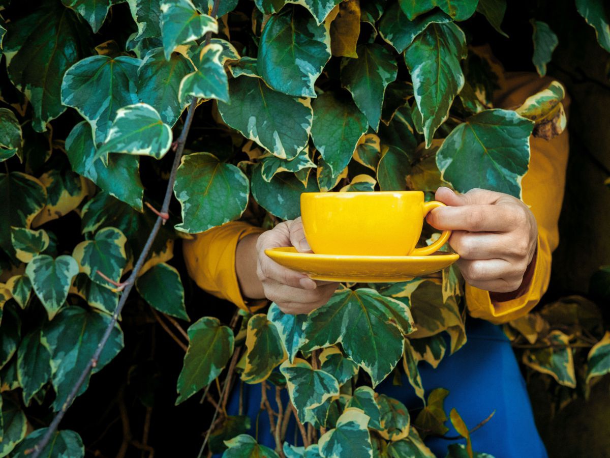 Eine Person in gelbem Shirt und blauer Hose sitzt hinter Efeuranken versteckt und nur die Hände, die eine gelbe Kaffetasse halten, streckt sie heraus.