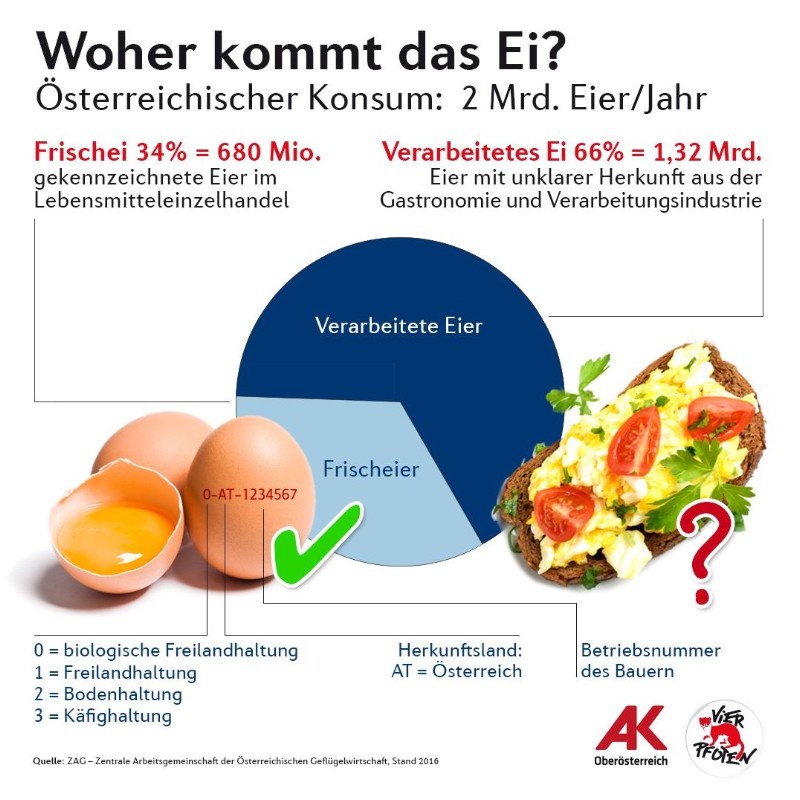 4pfotengrafikeier3