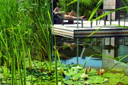 Biotop_gartenteich