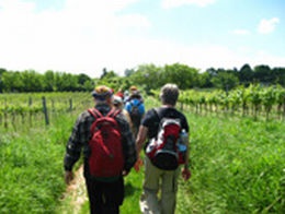 NFI_Bisamberg_Wanderung