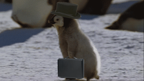 Pinguin_Aktentasche
