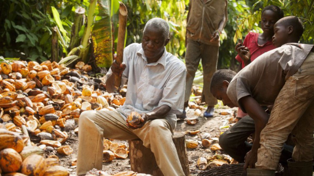 _c__fairtrade_stpierre
