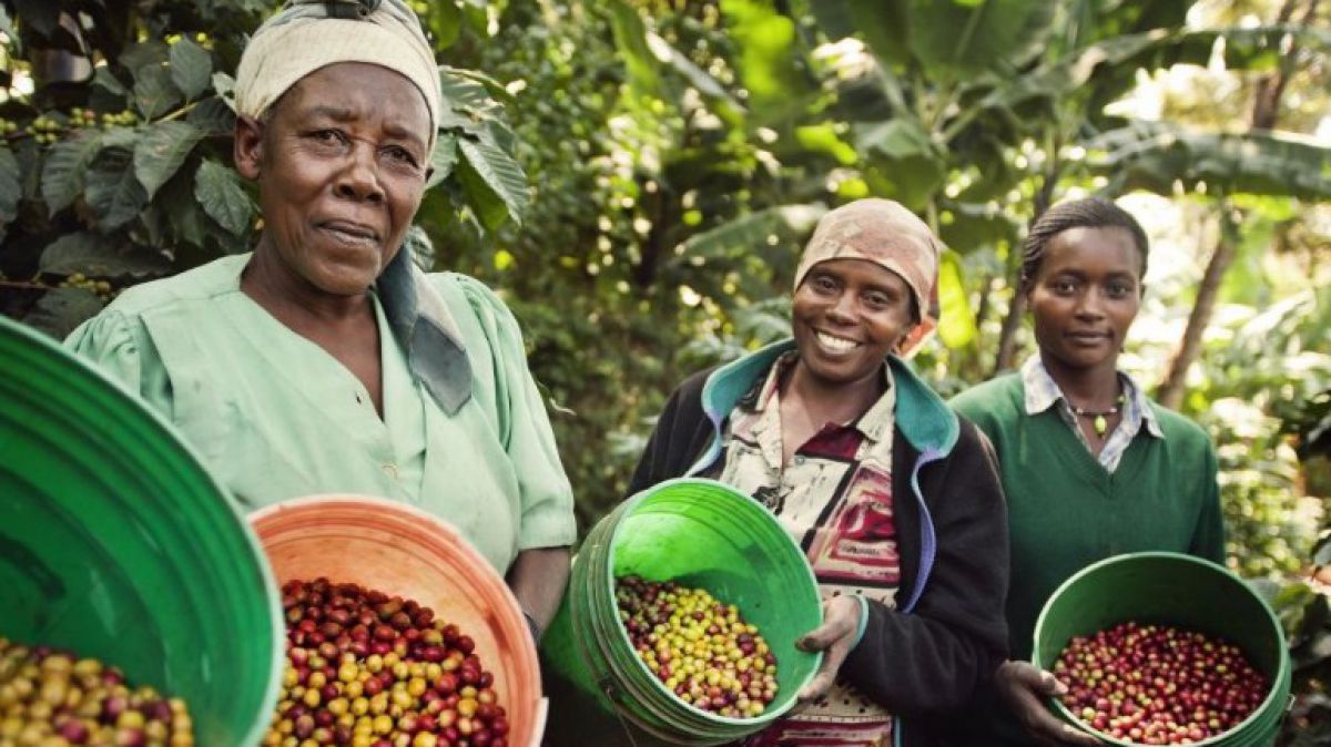_c__fairtrade_tineke_d_haese