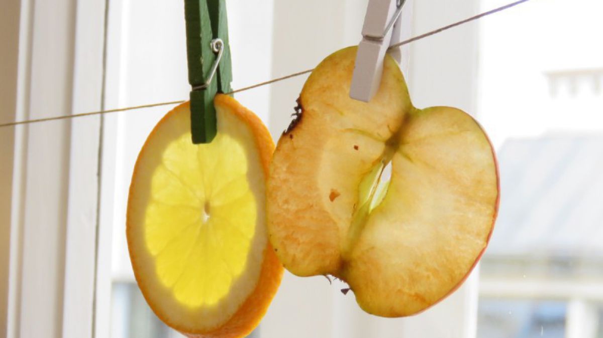 apfel-und-orange_____monika-kupka_die_umweltberatung