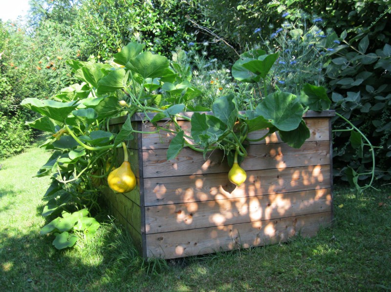 biermaier___hochbeet