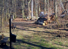 blindenwegPurkersdorf