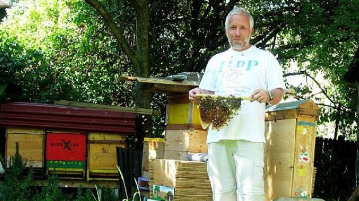 dietmar_niessner_mit_bienen_www_bienenschule_at