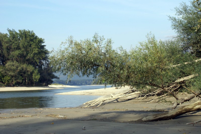 donaulandschaft_____nationalpark_donauauen_baumgartner