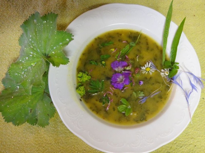 flora_r_unkrautsuppe2