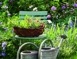 fotolia_gartenmitgiesskanne