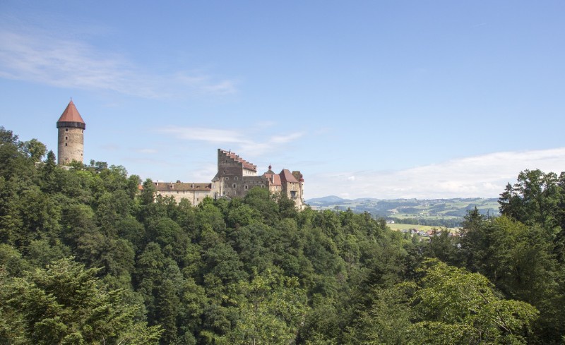 friedwald-josef-moritz---blick-aus-dem-friedwald-zur-burg