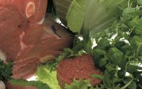 futurefleisch