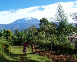 gruberHomegardenamKilimanjaro