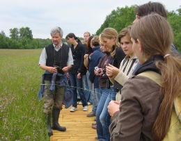 gruenesbandsteg