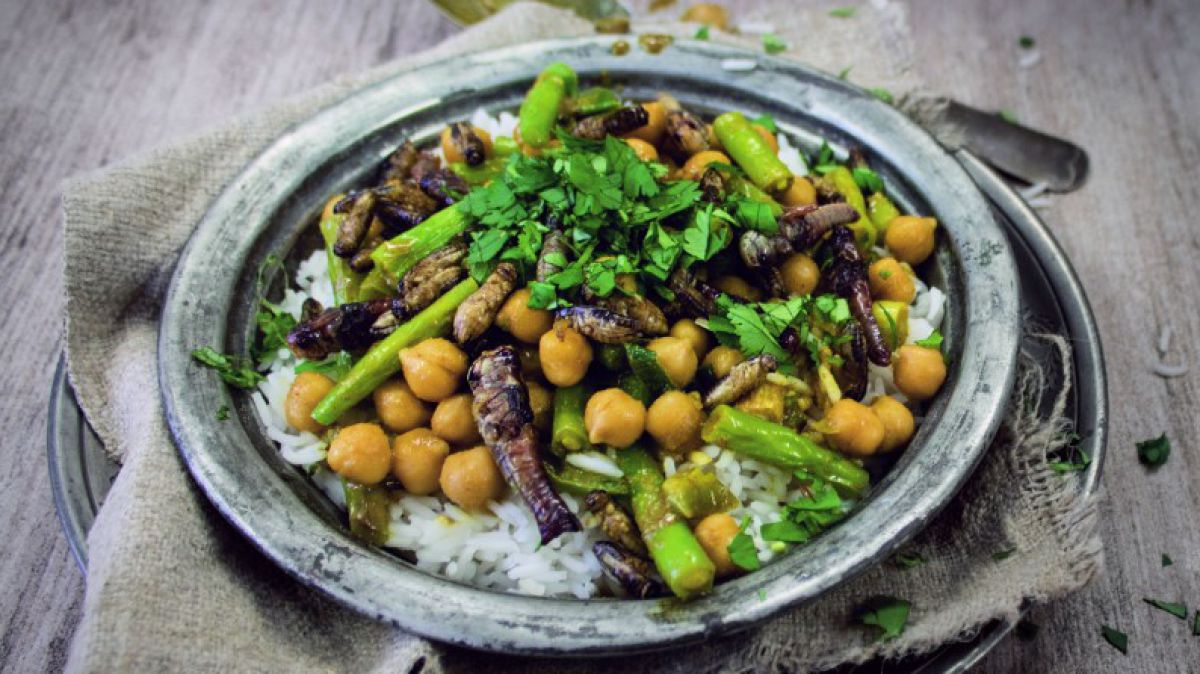 insektenrezept