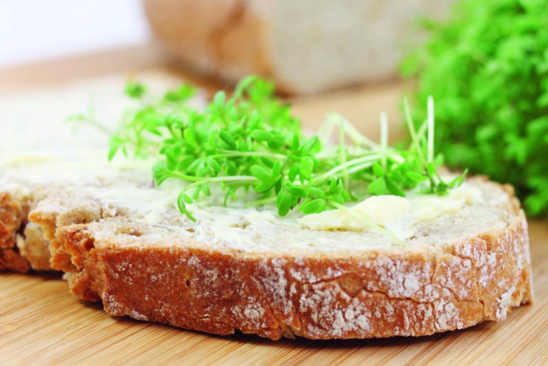 istock_000016533166medium