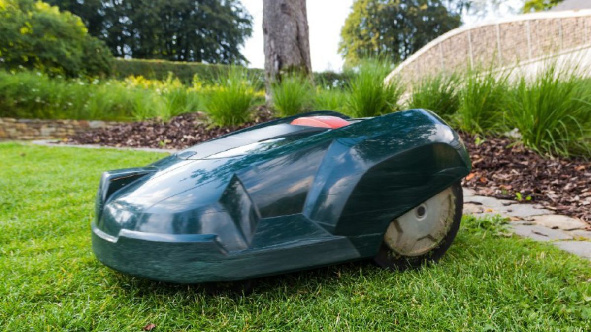 lawn-mower-414252_1920