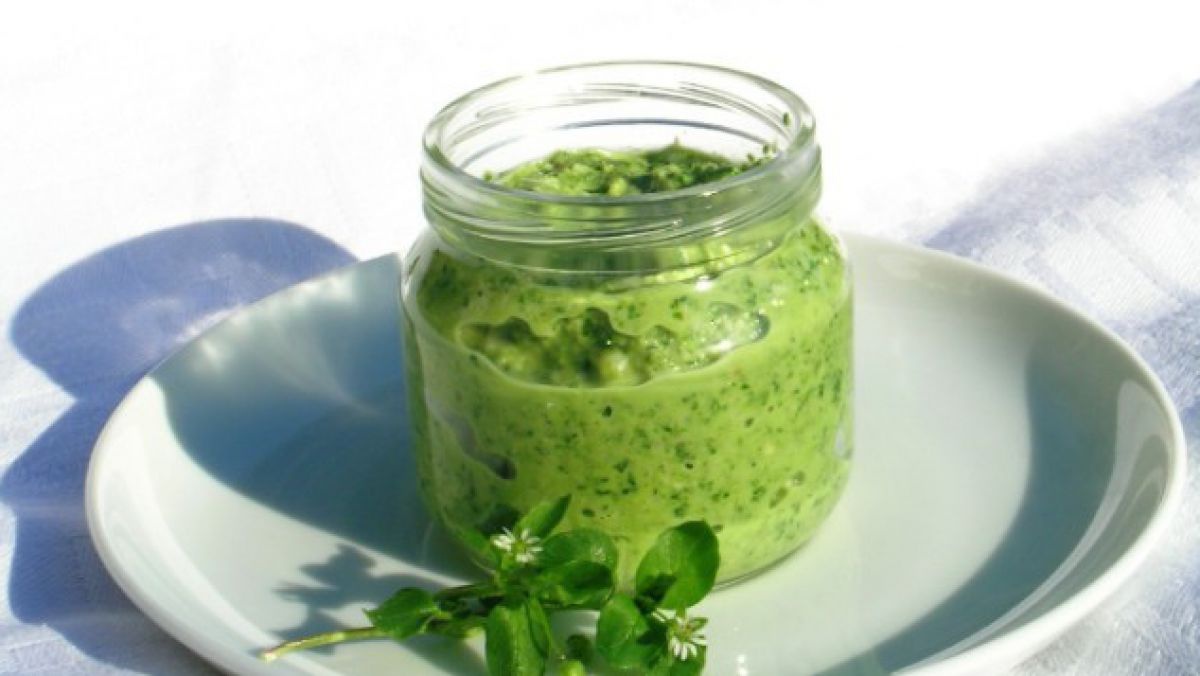 magdalena_uedl_kerschbaumer_die_umweltberatung_vogelmierenpesto