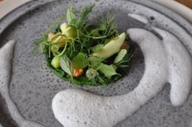 noma_20090818_34