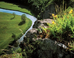 npThayatalRabenfelsen