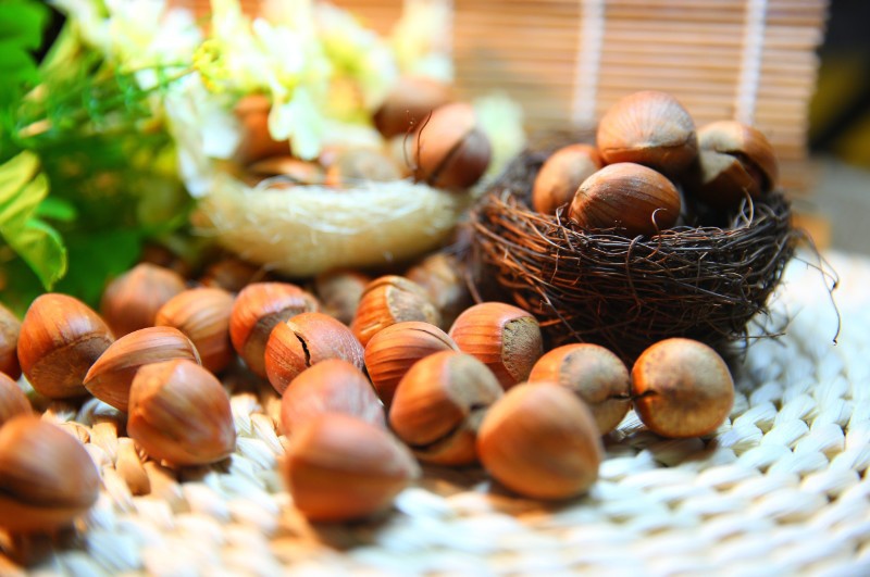 pixabay_commons__hazelnut-1098181