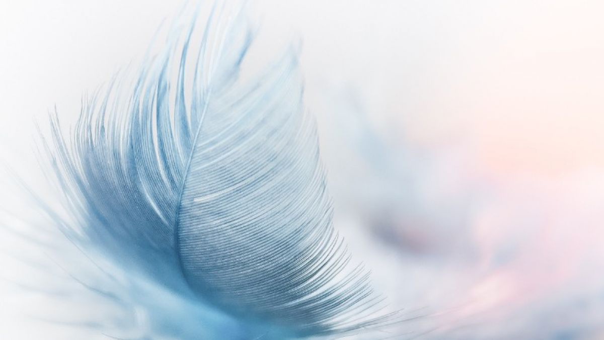 pixabay_commons_feather-3010848