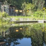 schwimmteich11