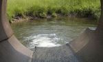 wabwasserfotolia