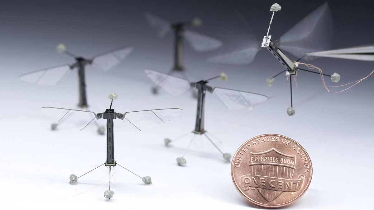 national-science-foundation______robobee-pf3343_photo02_h