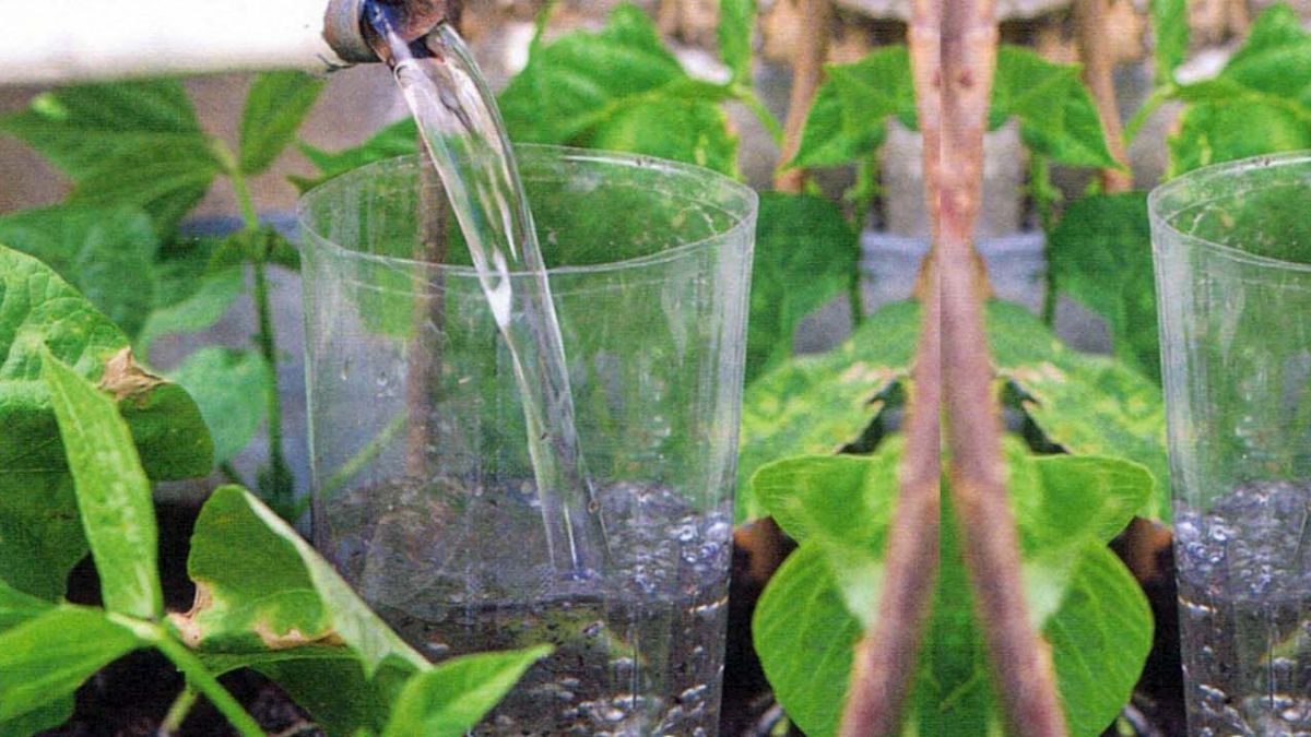 giessen-aus-der-wasserflasche-kosmos