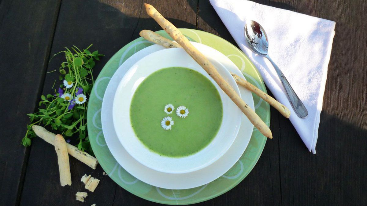 seite19wildkraeutersuppe