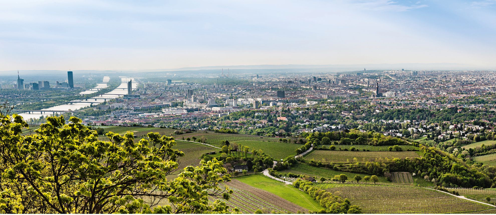 Ein Blick über Wien aus dem Norden.