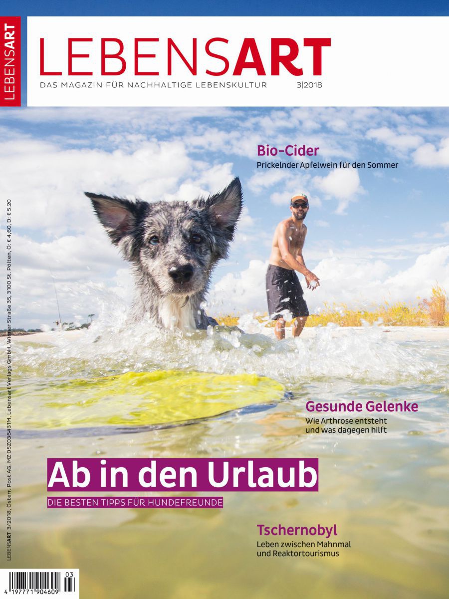 Das Cover der LEBENSART 3/18 zeigt einen Hund im Wasser.