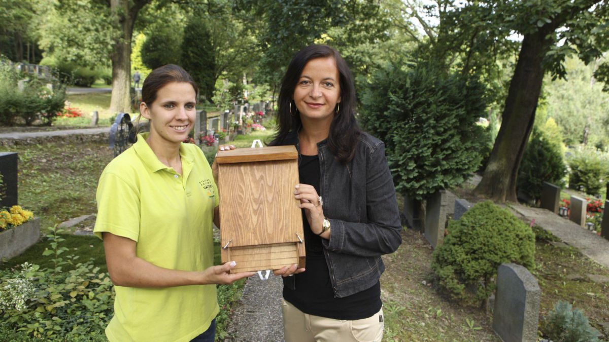2010-08-19-1-umweltfriedhof-wiens-platz-fuer-springfroesche-nachtschmetterlinge-co