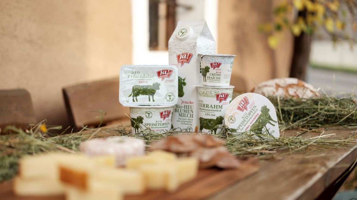 Käse und MIlchprodukte auf Holztisch.