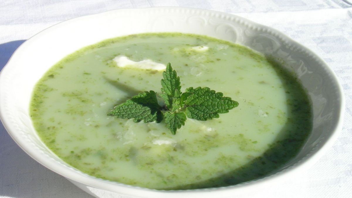 umweltberatungbrennnesselsuppe