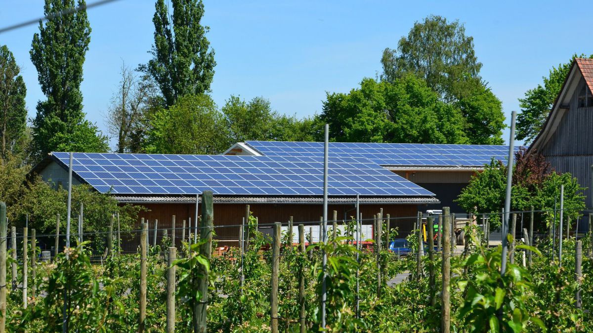 Photovoltaik auf Gebäude hinter Gemüsegarten.