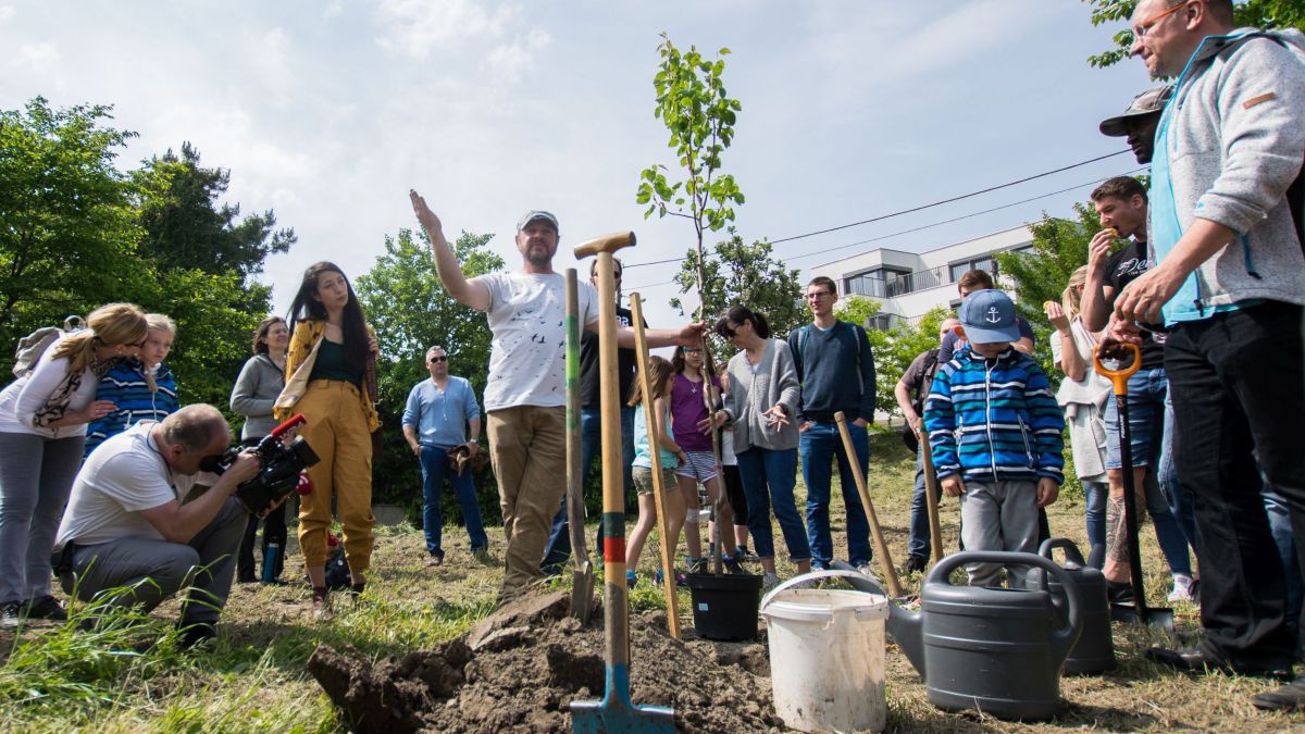 Menschen pflanzen gemeinsam Obstbäume