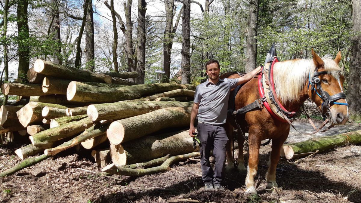 Matthias Weiländer steht neben Pferd und Holzstoß.