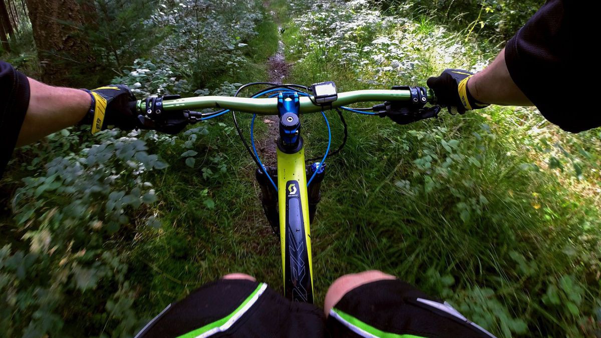 Mountainbike auf Waldweg.